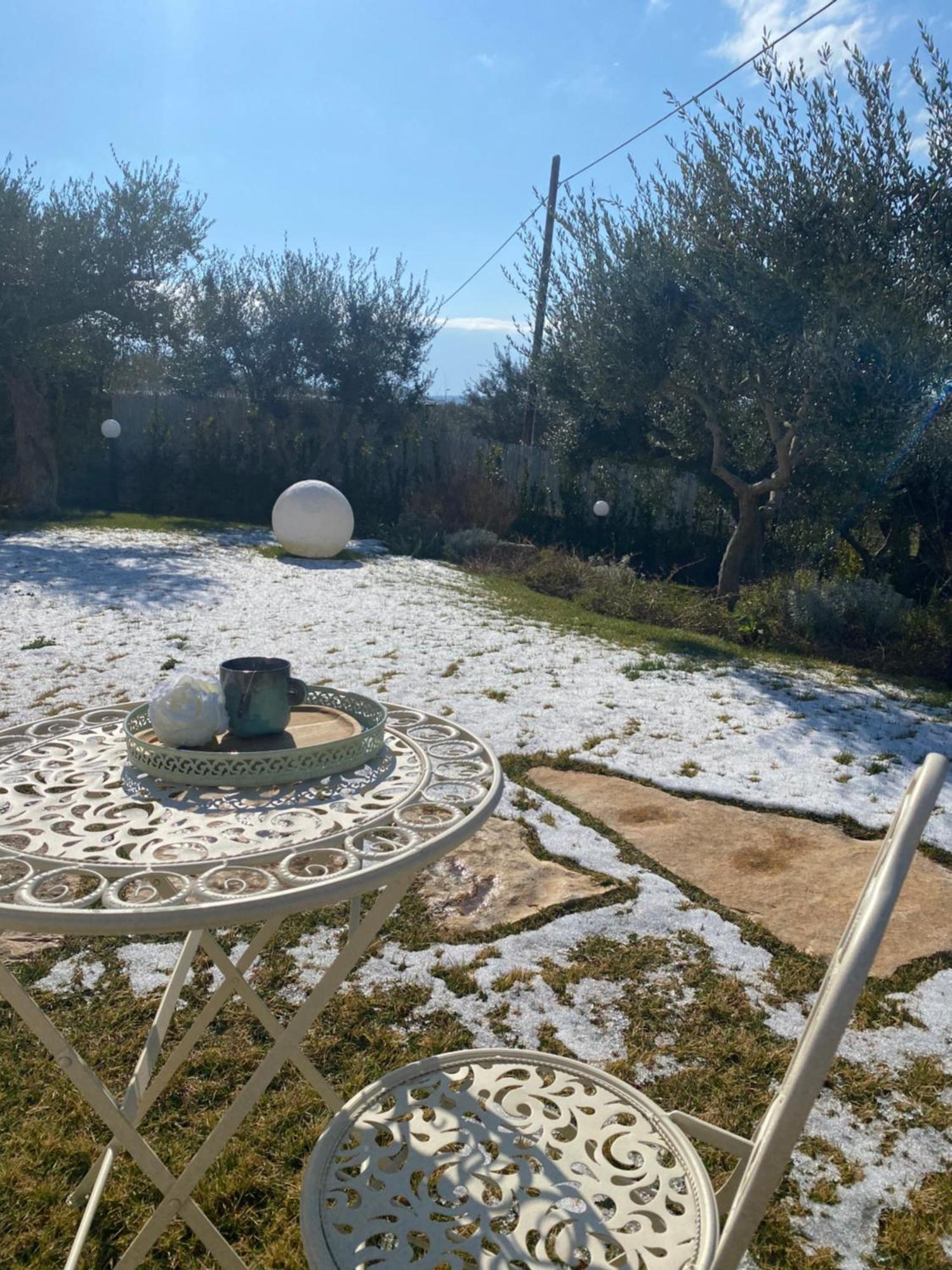 Verdeacqua Suite Locorotondo Dış mekan fotoğraf