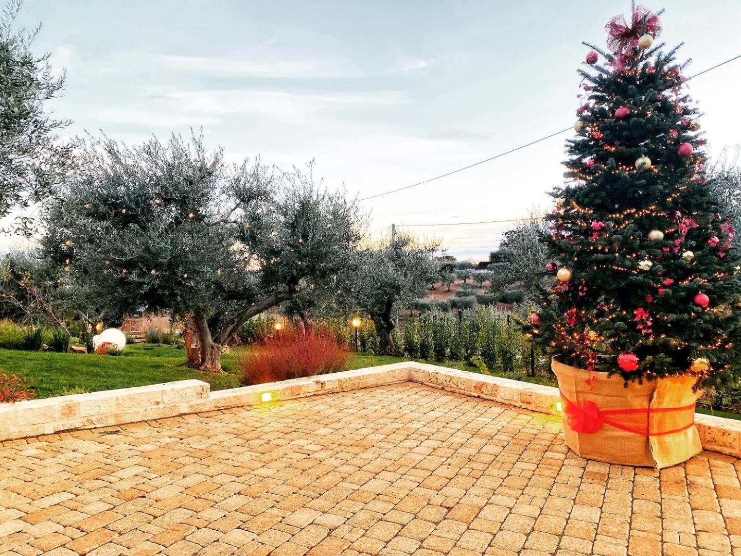 Verdeacqua Suite Locorotondo Dış mekan fotoğraf
